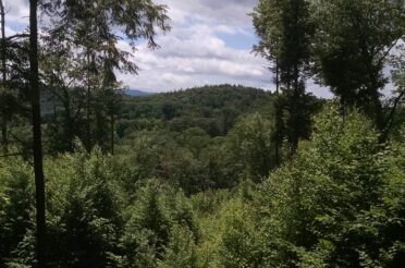 Grant Family Farm Conservation Area