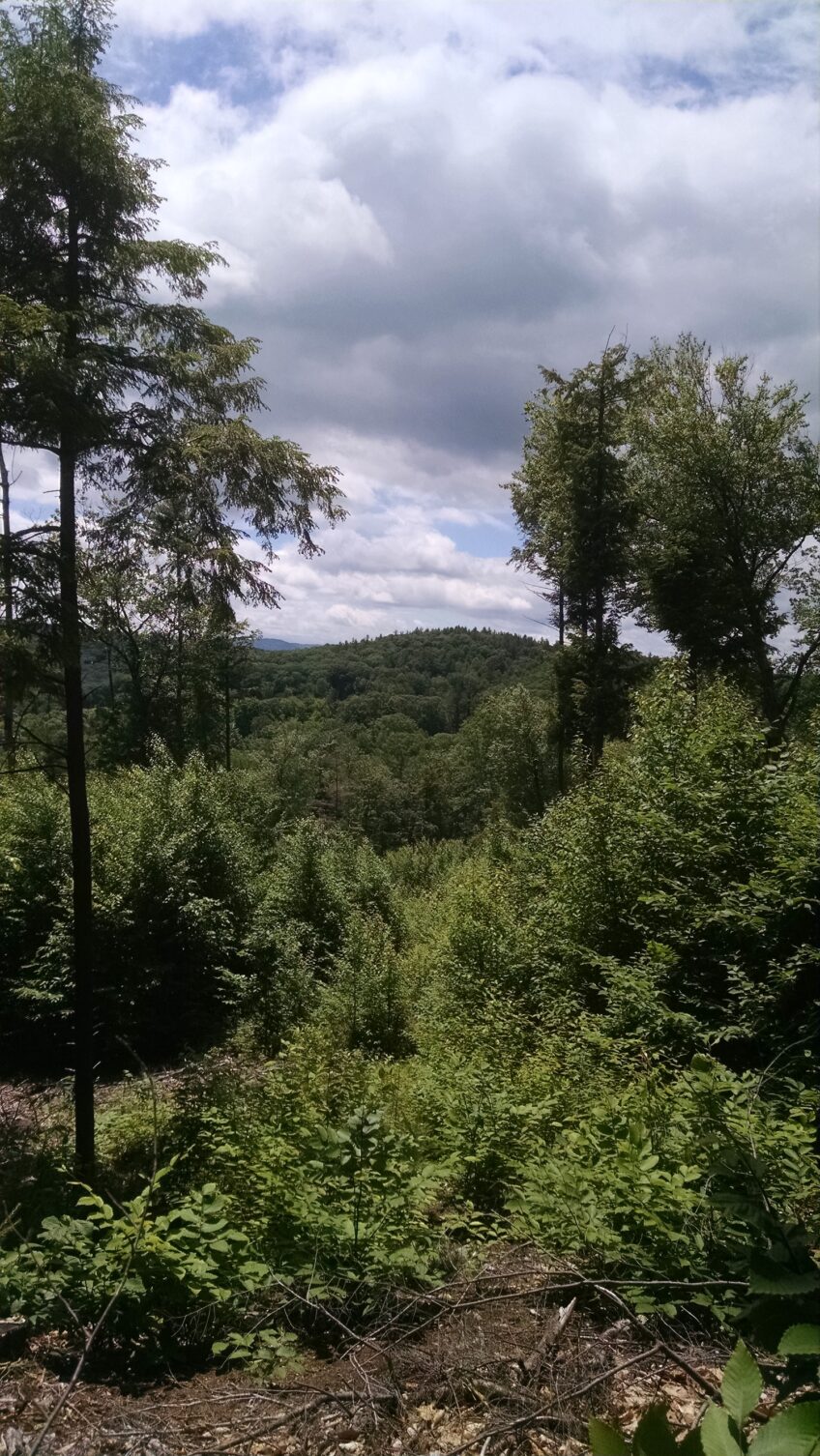 Grant Family Farm Conservation Area