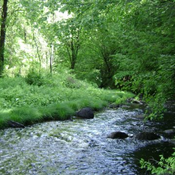 Rand Brook Floodplain Project