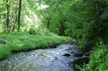 Rand Brook Floodplain Project