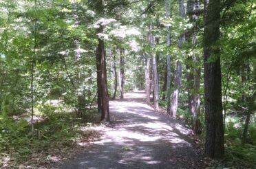 PLC Founding Project: New Boston Rail Trail