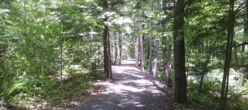 PLC Founding Project: New Boston Rail Trail