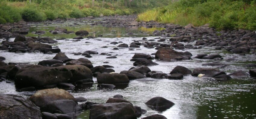 How to Help a Trout in a Drought