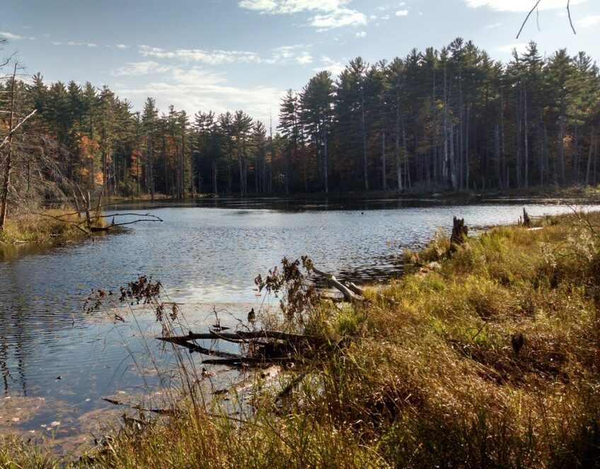 Tarr Lands in Bedford & Goffstown to become PLC Preserve