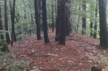 Linking Land in Lyndeborough