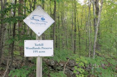 Upcoming Timber Harvest at Tuthill