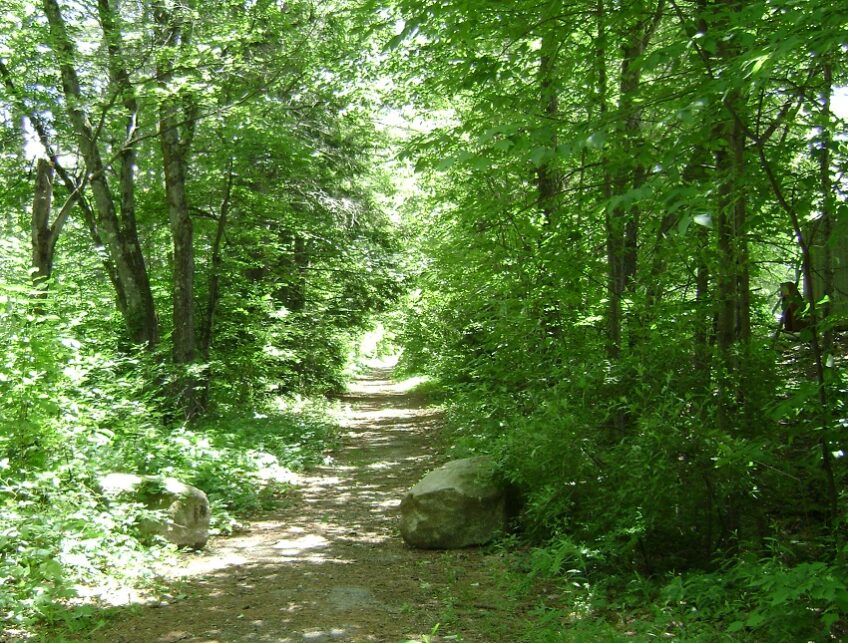 Brookline Rail Trail Walk