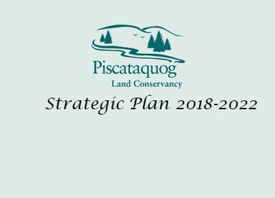 PLC Adopts New Strategic Plan