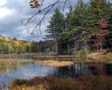Meadowsend Land Protected in Weare