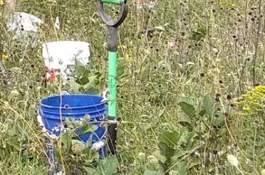 Volunteer Trail Days