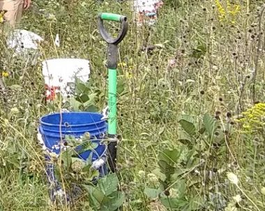 Planting the Proctor Preserve