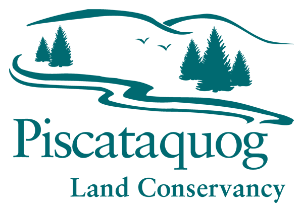 PLC's Logo