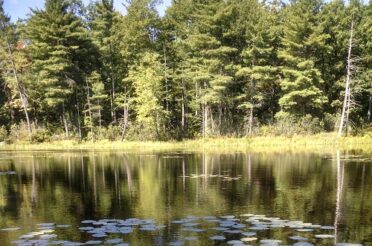 Nissitissit Headwaters Awarded State Grants