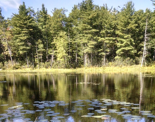 Nissitissit Headwaters Awarded State Grants