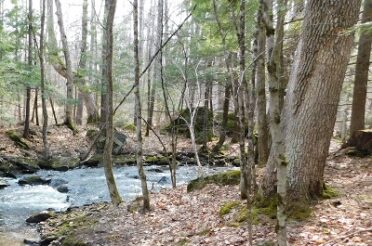 A Family’s Conservation Legacy in New Boston