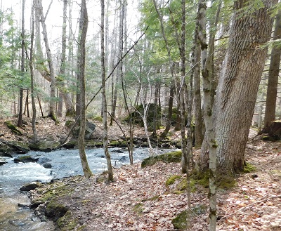 A Family’s Conservation Legacy in New Boston