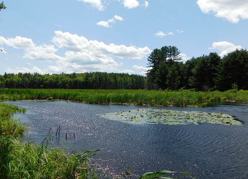 Jennings Easement Completed in Goffstown