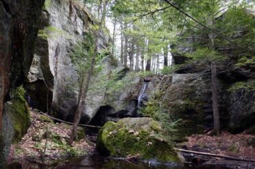 Bedford Land Trust Merges with PLC