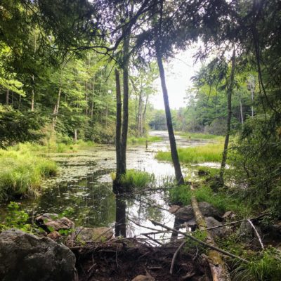 Tarr Wildlife Sanctuary