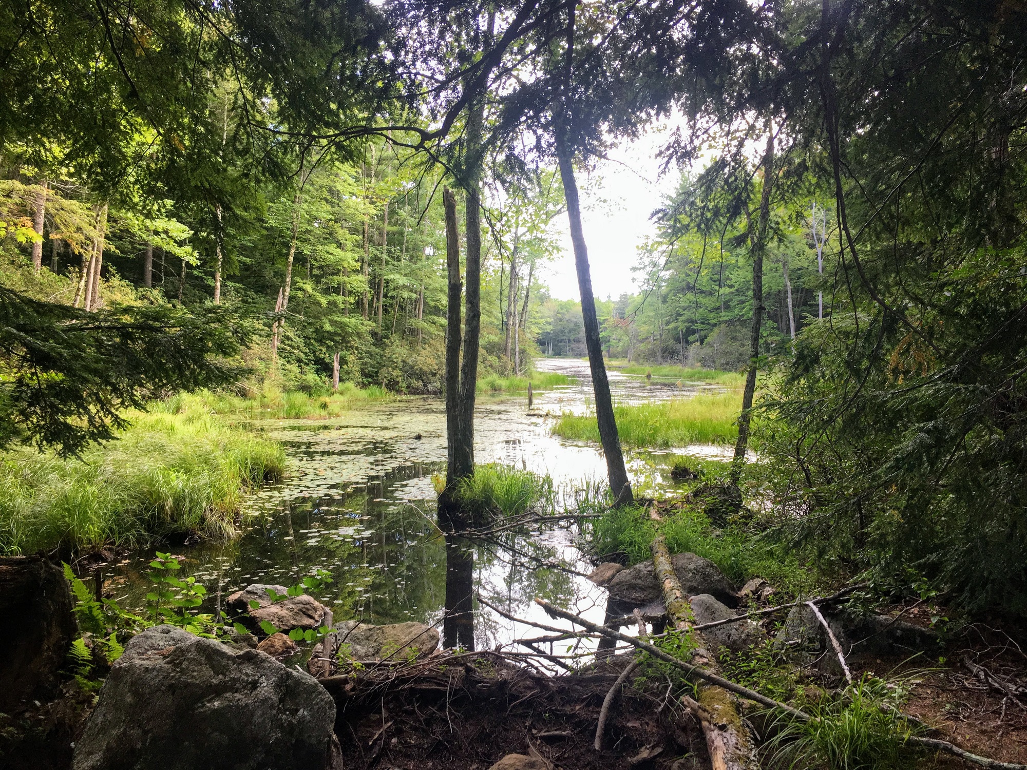 Tarr Wildlife Sanctuary