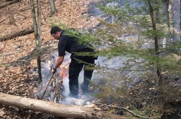 Early Spring Brings Brushfires