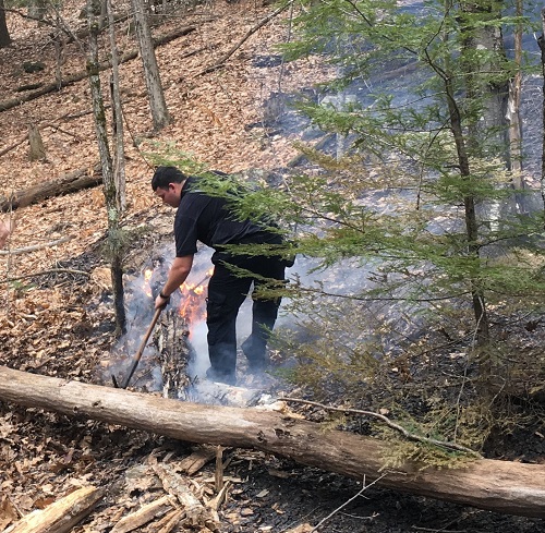 Early Spring Brings Brushfires