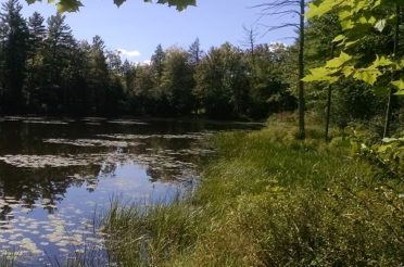 Nissitissit River Headwaters Project Nears Finish Line