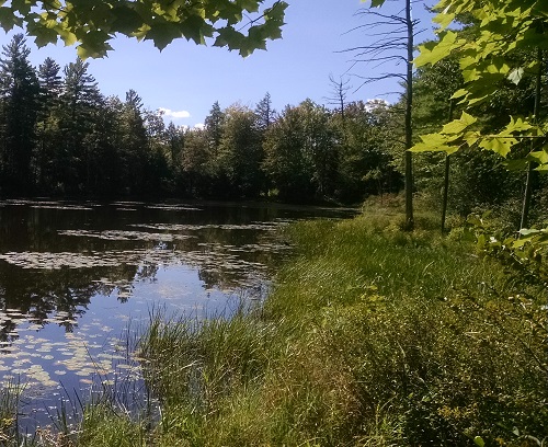 Nissitissit Headwaters Project Completed