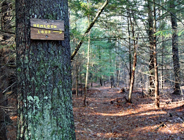 Van Loan Preserve