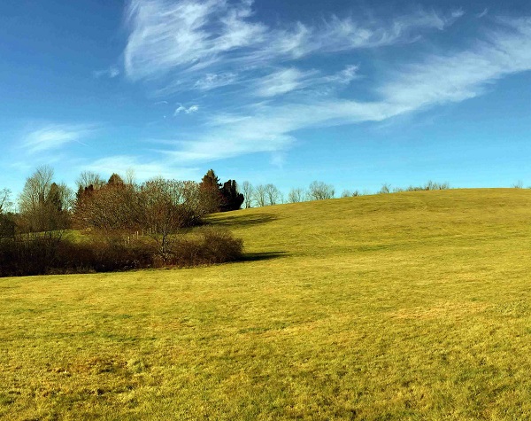 Benedictine Park