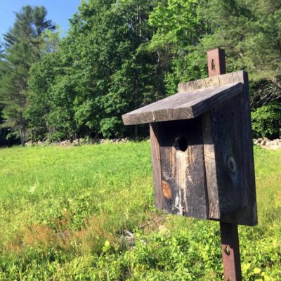 Joppa Hill Trails