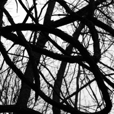 Joppa Hill Trails