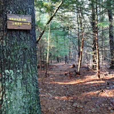Van Loan Trails