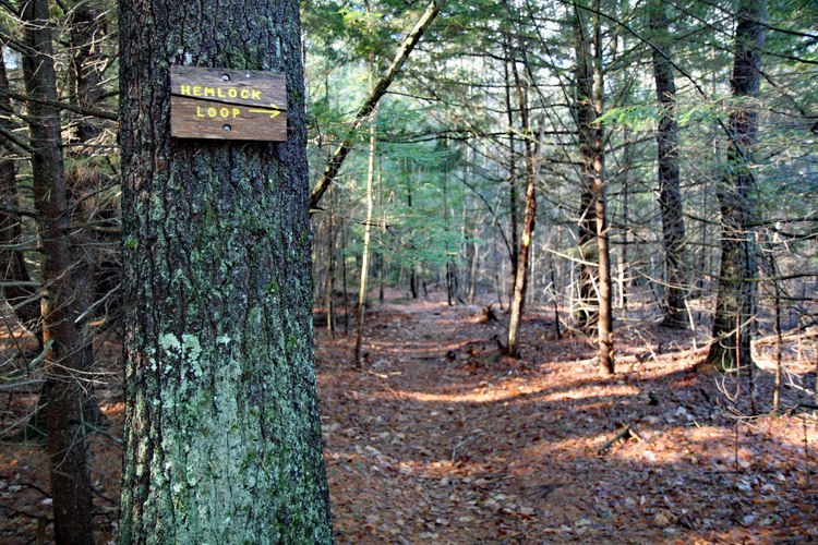 Van Loan Trails