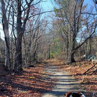 Joppa Hill Trails