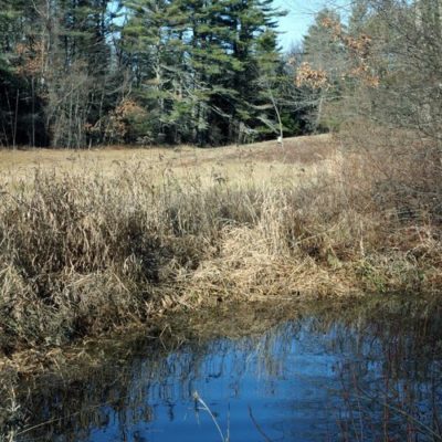 Joppa Hill Trails