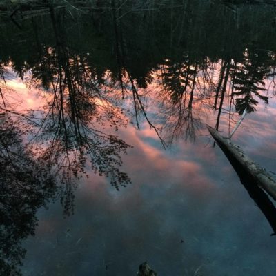 Van Loan Trails