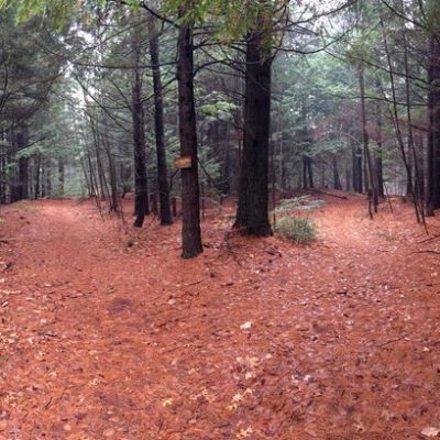 Van Loan Trails