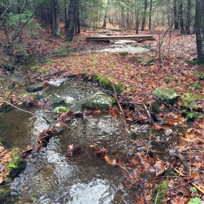 Joppa Hill Trails