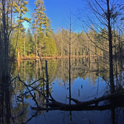 Van Loan Trails