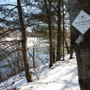 Linda Hockman Conservation Easement
