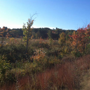 Nault Conservation Easement