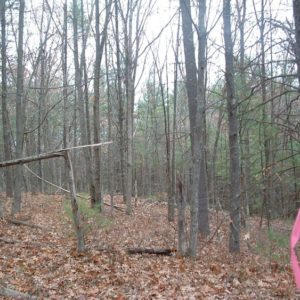 Pointer Brook Conservation Easement
