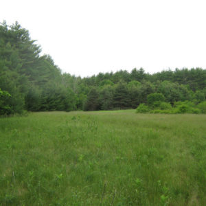 School District Conservation Easement