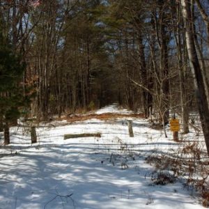 Sebbins Pond Drive Conservation Easement