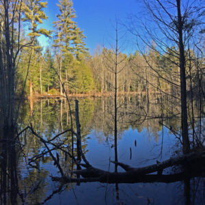 Van Loan Preserve