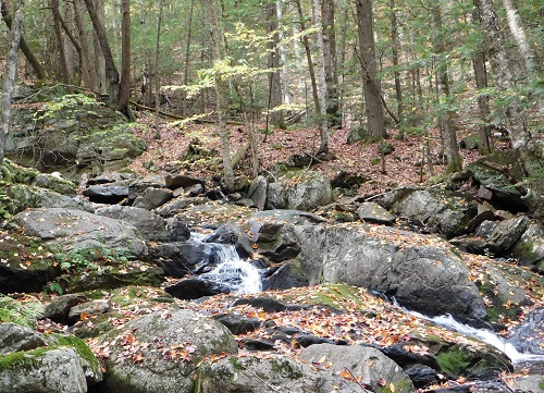 Alan & Edgar Rice Nature Preserve