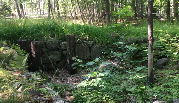Trail at Tuthill Preserve
