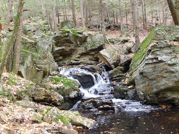 Trail at Tuthill Preserve