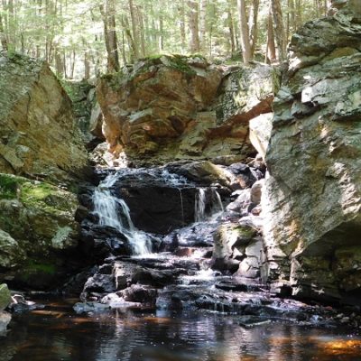 Rice Preserve - Cold Brook Trail